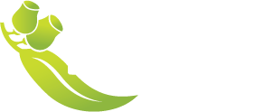 Hamilton Parklands School
